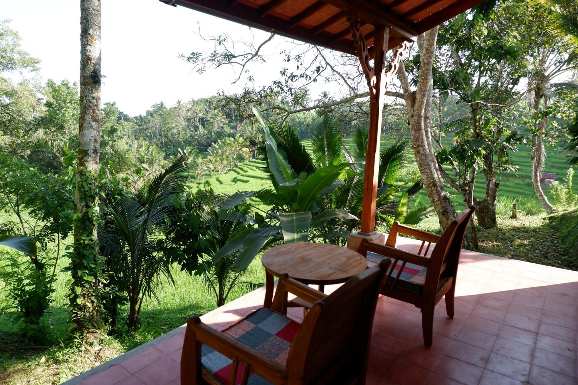 جاتيلويه Saridevi Ecolodge المظهر الخارجي الصورة