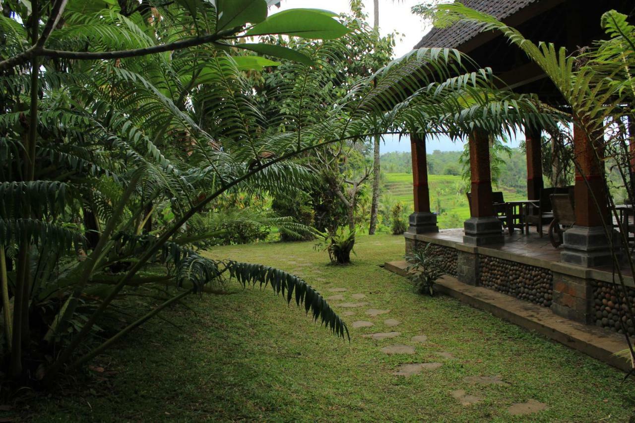 جاتيلويه Saridevi Ecolodge المظهر الخارجي الصورة