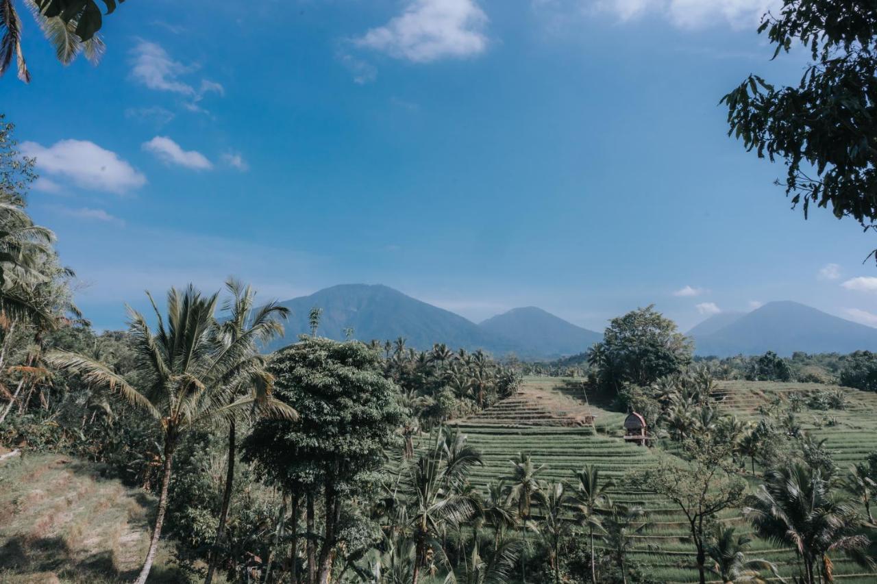 جاتيلويه Saridevi Ecolodge المظهر الخارجي الصورة